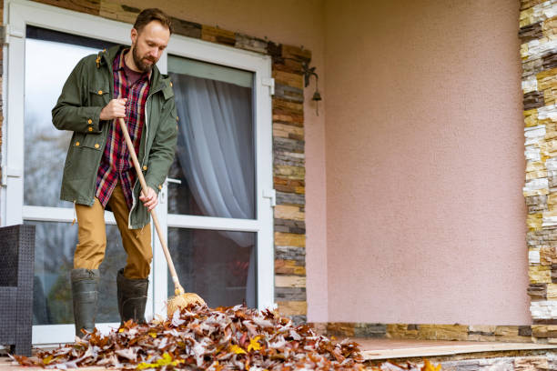 Best Yard Cleanup Services  in Hollis, OK