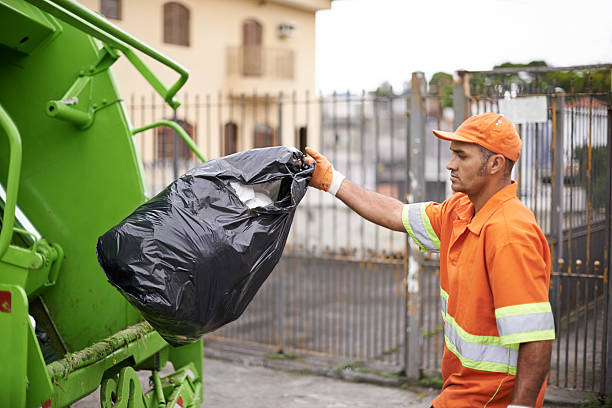 Yard Cleanup Services in Hollis, OK